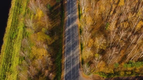 Route dans la forêt d'automne vue aérienne. — Video