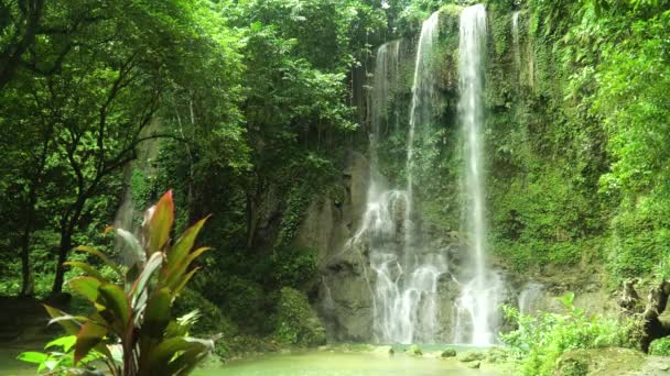 Bela cachoeira tropical. Kawasan Falls, Bohol, Filipinas. — Vídeo de Stock