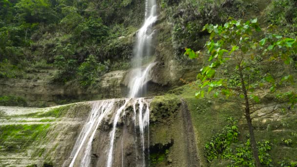 Belle cascade tropicale. Can-umantad Falls, Bohol, Philippines. — Video