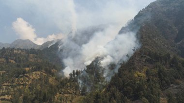 Dağlarda orman yangını