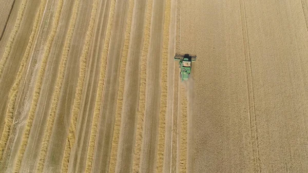 Combinar colheitadeira no campo de trigo — Fotografia de Stock