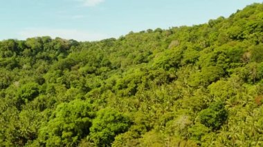Yağmur ormanları olan tropik bir manzara. Camiguin, Filipinler