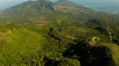 Tropikal deniz kıyıları, dağlar