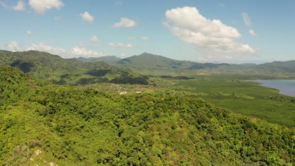 Tropenwald und Berge, Palawan, Philippinen — Stockvideo