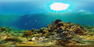 Mercan resiflerinin sualtı dünyası. Filipinler. Sanal Gerçeklik 360