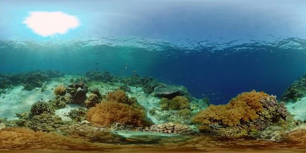 Récif corallien et poissons tropicaux sous-marins. Philippines. Vue à 360 degrés. — Photo