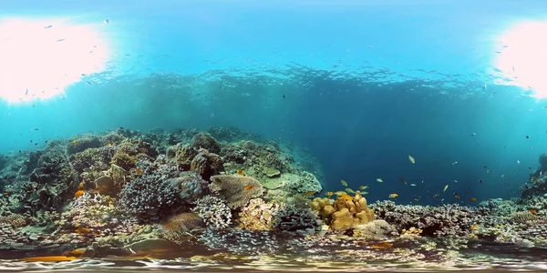 Récif corallien et poissons tropicaux. Philippines. Réalité virtuelle 360 — Photo