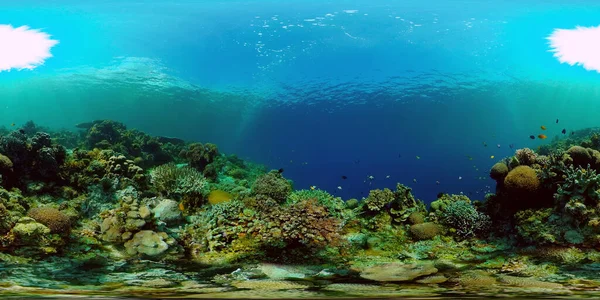 Arrecife de coral y peces tropicales. Filipinas. Vista de 360 grados. — Foto de Stock