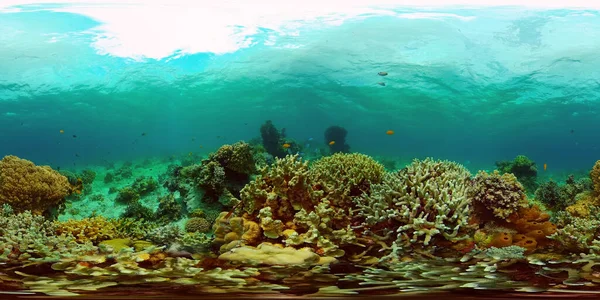 Koraalrif met vis onder water. Filippijnen. Virtual Reality 360 — Stockfoto
