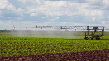 Tarım arazisindeki sulama sistemi.