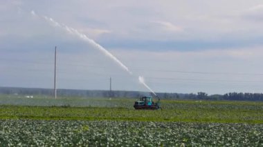 Tarım arazisindeki sulama sistemi.