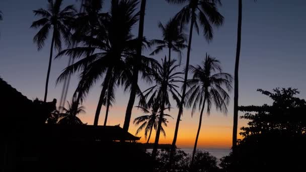 Sunset on the sea coast. Bali, Indonesia. — Stock Video