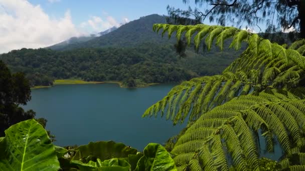 Buyan Lake in Bedugul, Bali, Indonésie. — Stock video