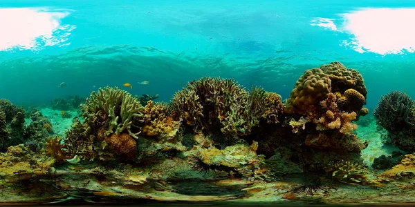 Recifes de coral com peixes subaquáticos. Filipinas. Realidade Virtual 360 — Fotografia de Stock