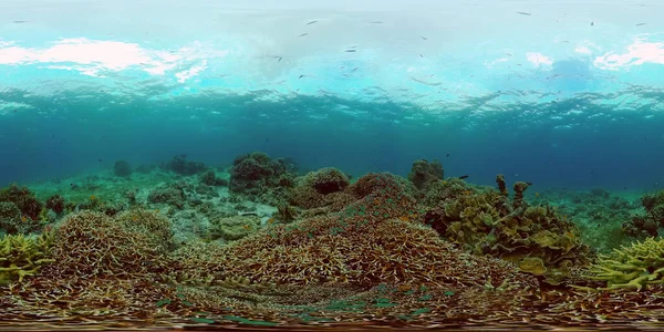 El mundo submarino de un arrecife de coral. Filipinas. Realidad virtual 360 — Foto de Stock