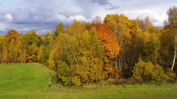Kronor av träd med gula blad. Lövskog på hösten. Flygfoto över skogen under moln under hösten. — Stockvideo