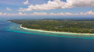 Kumsal ve tropikal deniz. Panglao Adası, Filipinler.