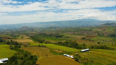 Filipinler 'de tarım arazisi.