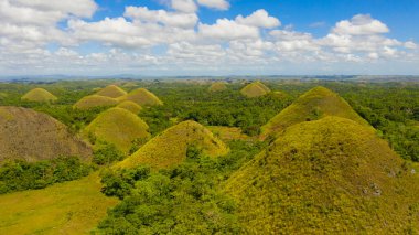 Çikolata tepeleri. Bohol Filipinleri..