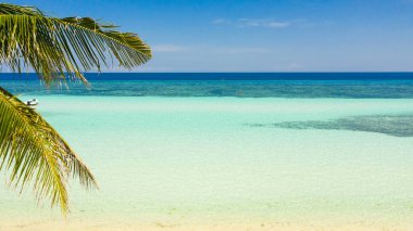 Kumsal ve tropikal deniz. Panglao Adası, Filipinler.
