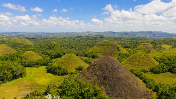 Colinas de Chocolate.Bohol Filipinas. — Foto de Stock