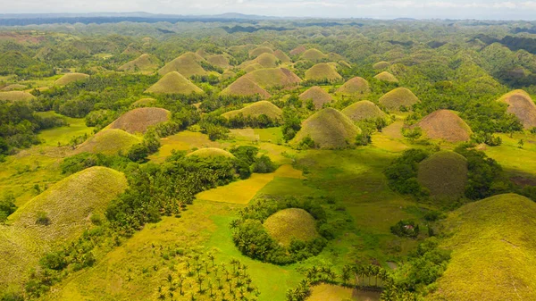 Colinas de Chocolate.Bohol Filipinas. — Foto de Stock