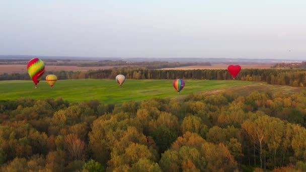 Warme lucht ballonnen in de lucht bij zonsondergang. — Stockvideo