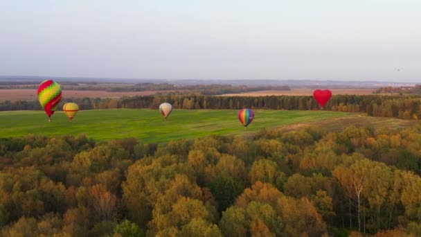 Balony na ogrzane powietrze na niebie o zachodzie słońca. — Wideo stockowe