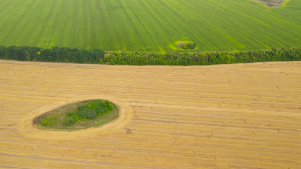 Campo com palheiro após a colheita. Paisagem rural. — Vídeo de Stock