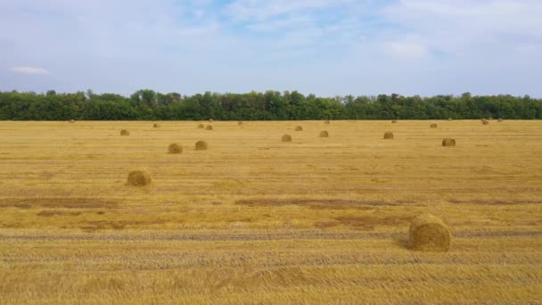 Campo com palheiro após a colheita. Paisagem rural. — Vídeo de Stock