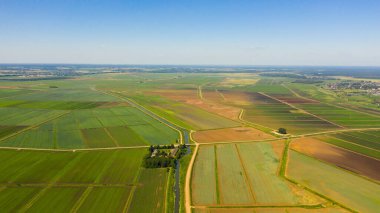 Tarım arazisi yukarıdan gelen yeşil ekinlerle
