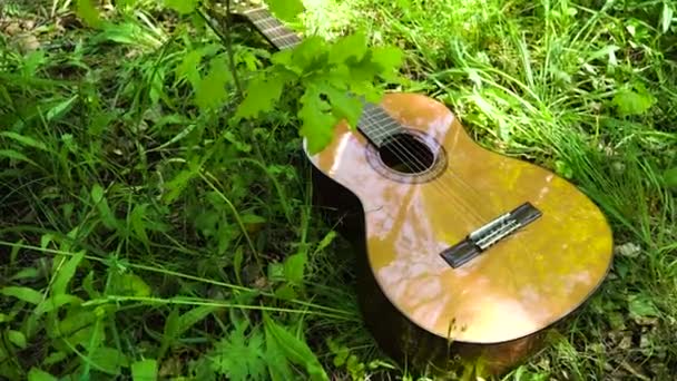 Guitarra acústica en el bosque f. — Vídeos de Stock