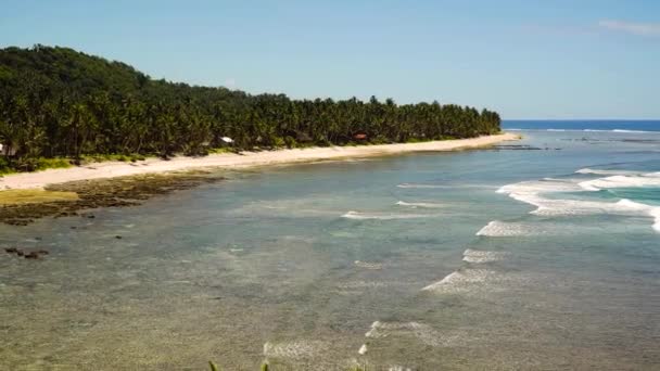 Strand op een tropisch eiland. Filippijnen, Siargao. — Stockvideo