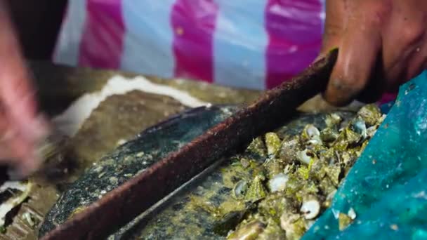 Свежие моллюски на рыбном рынке, Азия. — стоковое видео