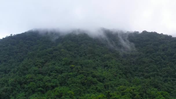 Picos de montaña en un clima tropical. Montañas cubiertas por selva tropical, vista aérea. — Vídeo de stock