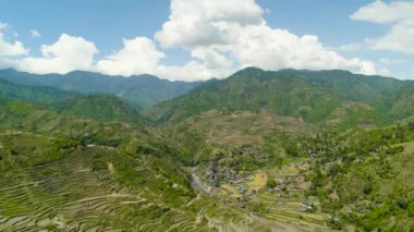 Filipinler 'de tarım arazisi.