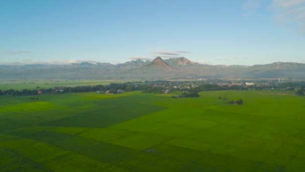 Τροπικό τοπίο με γεωργικές εκτάσεις, βουνά. — Αρχείο Βίντεο