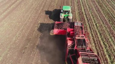 Şeker pancarı hasat ediliyor