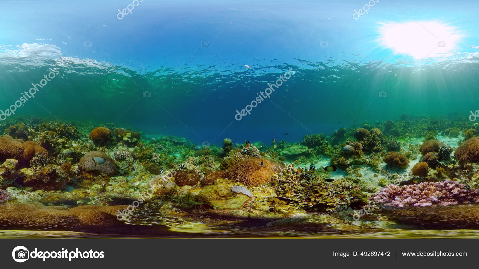 Arrecife de coral con peces bajo el agua. Filipinas. Realidad virtual 360 —  Foto de stock #492697472 © Alexpunker, image size:1600x900