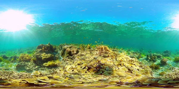 Recifes de coral com peixes subaquáticos. Filipinas. Realidade Virtual 360 — Fotografia de Stock