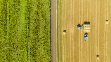 Hasattan sonra saman yığınlarıyla dolu bir tarla. Kırsal alan.