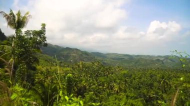 Tropikal ormanlı dağlar. Filipinler Cebu Adası.