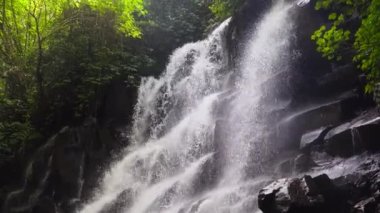 Güzel tropik şelale. Bali, Endonezya.