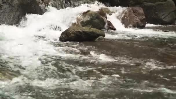 Vodní tok horského potoka. — Stock video