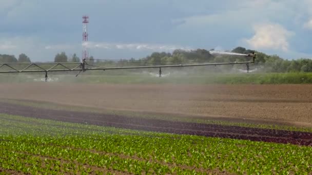 Système d'irrigation des terres agricoles. — Video