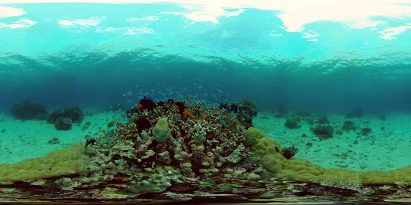 Arrecife de coral y peces tropicales bajo el agua. Filipinas. Vista de 360 grados. — Foto de Stock