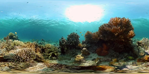 Rafa koralowa i tropikalne ryby. Filipiny. Widok 360 stopni. — Zdjęcie stockowe