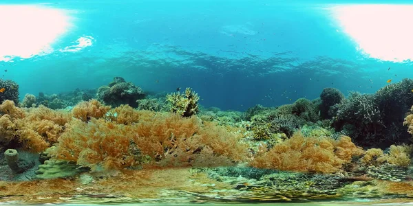 Κοραλλιογενή ύφαλο και τροπικά ψάρια. Φιλιππίνες. Όψη 360 μοιρών. — Φωτογραφία Αρχείου