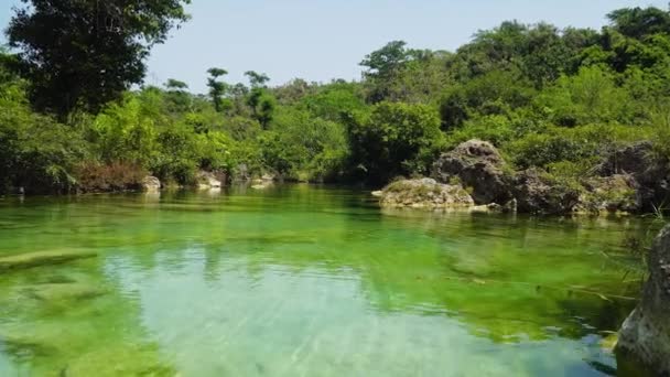 Rzeka w dżungli. Bohol, Filipiny. — Wideo stockowe