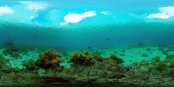 El mundo submarino de un arrecife de coral. Filipinas. Realidad virtual 360 — Foto de Stock